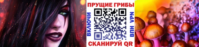 Галлюциногенные грибы прущие грибы  Грязи 